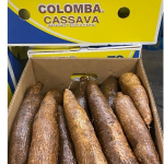 Cassava